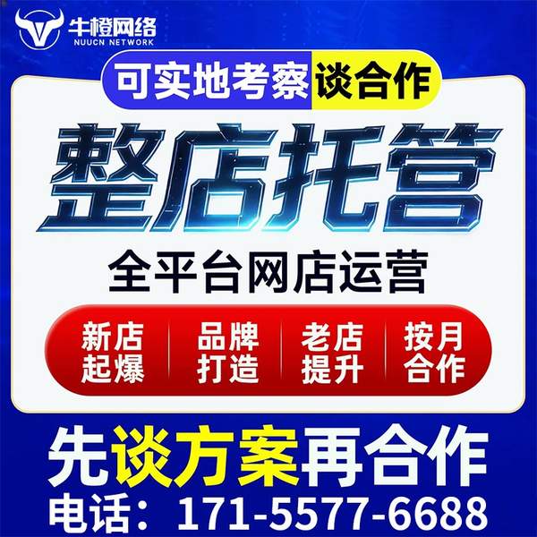 凯里电商代运营