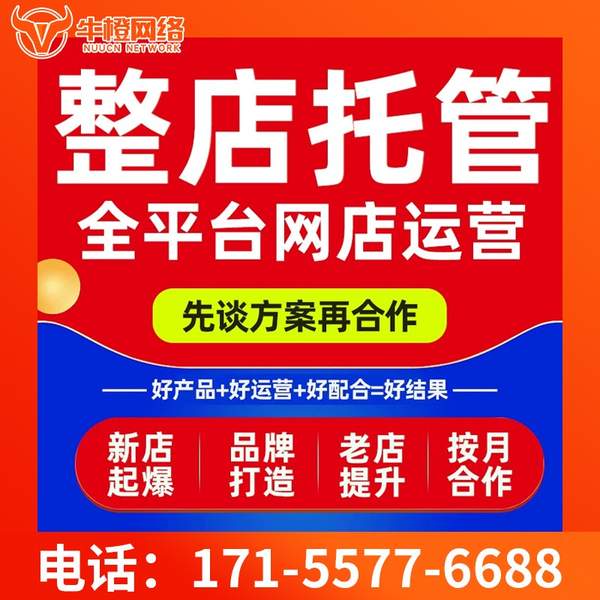 凯里电商代运营
