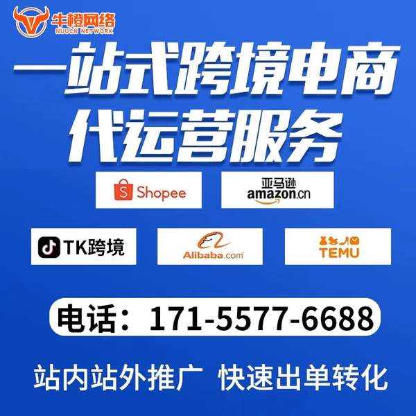 凯里电商代运营